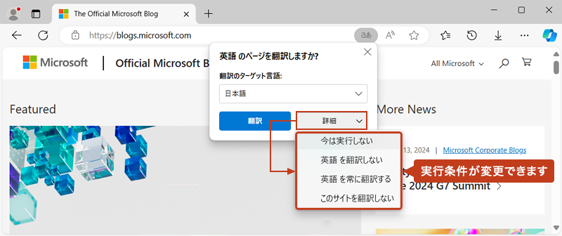 ポップアップの「詳細」から翻訳の実行条件を変更することもできます