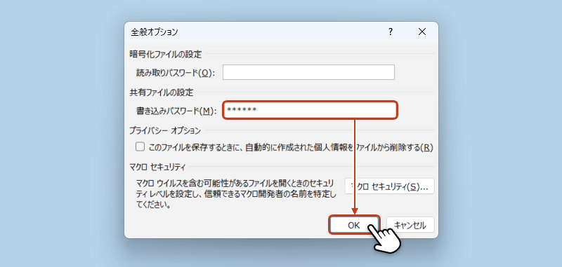 全般オプションのボックスが表示されたら「書き込みパスワード」を入力し、OKボタンをクリック。